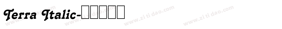 Terra Italic字体转换